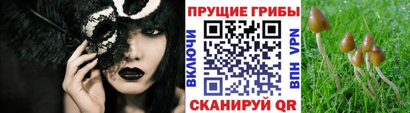 Псилоцибиновые грибы прущие грибы Дзержинск